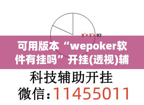 可用版本“wepoker软件有挂吗”开挂(透视)辅助神器