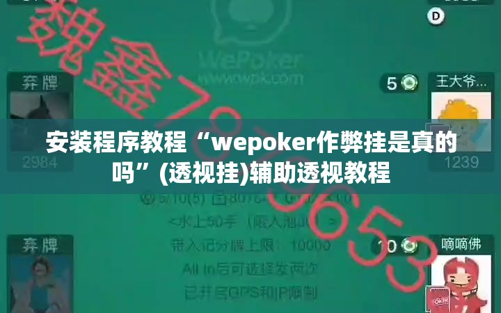 安装程序教程“wepoker作弊挂是真的吗”(透视挂)辅助透视教程
