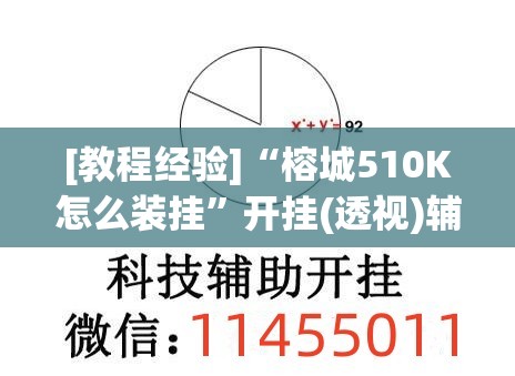 [教程经验]“榕城510K怎么装挂”开挂(透视)辅助神器