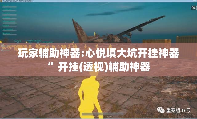 玩家辅助神器:心悦填大坑开挂神器”开挂(透视)辅助神器