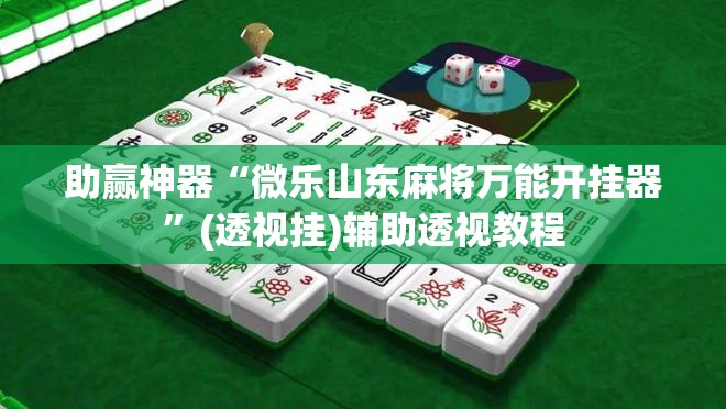 助赢神器“微乐山东麻将万能开挂器	”(透视挂)辅助透视教程