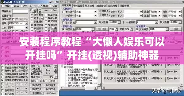 安装程序教程“大懒人娱乐可以开挂吗”开挂(透视)辅助神器