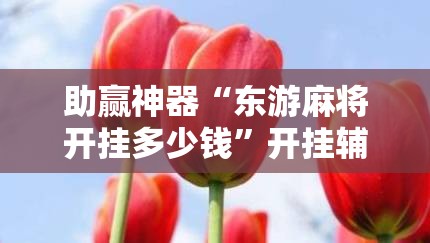 助赢神器“东游麻将开挂多少钱”开挂辅助脚本+详细开挂安装教程