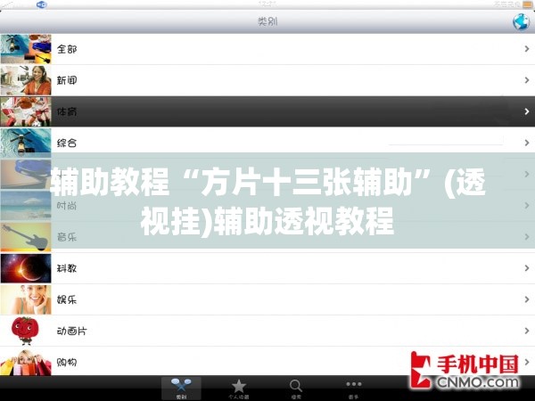 辅助教程“方片十三张辅助”(透视挂)辅助透视教程