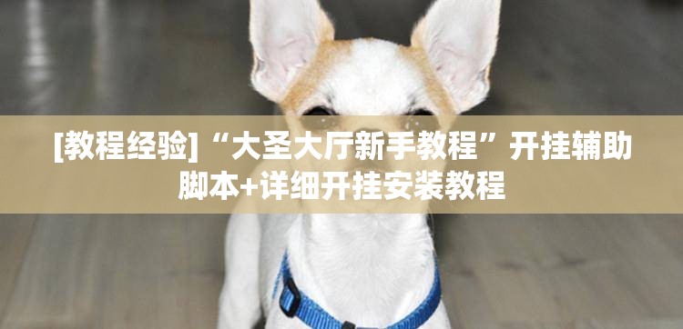 [教程经验]“大圣大厅新手教程	”开挂辅助脚本+详细开挂安装教程