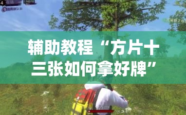 辅助教程“方片十三张如何拿好牌”开挂(透视)辅助神器