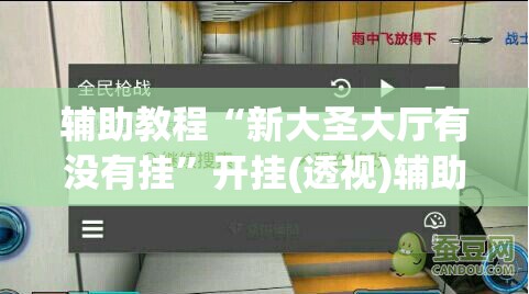 辅助教程“新大圣大厅有没有挂”开挂(透视)辅助教程
