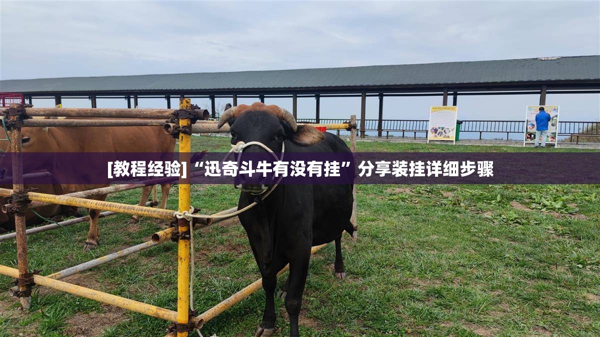 [教程经验]“迅奇斗牛有没有挂”分享装挂详细步骤