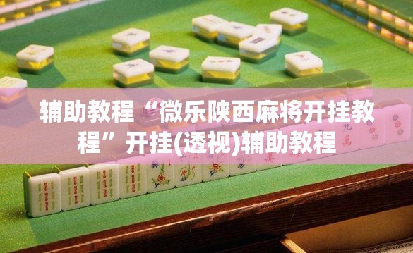 辅助教程“微乐陕西麻将开挂教程	”开挂(透视)辅助教程