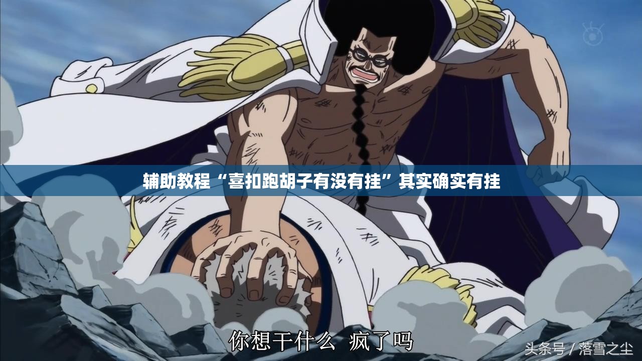 辅助教程“喜扣跑胡子有没有挂”其实确实有挂
