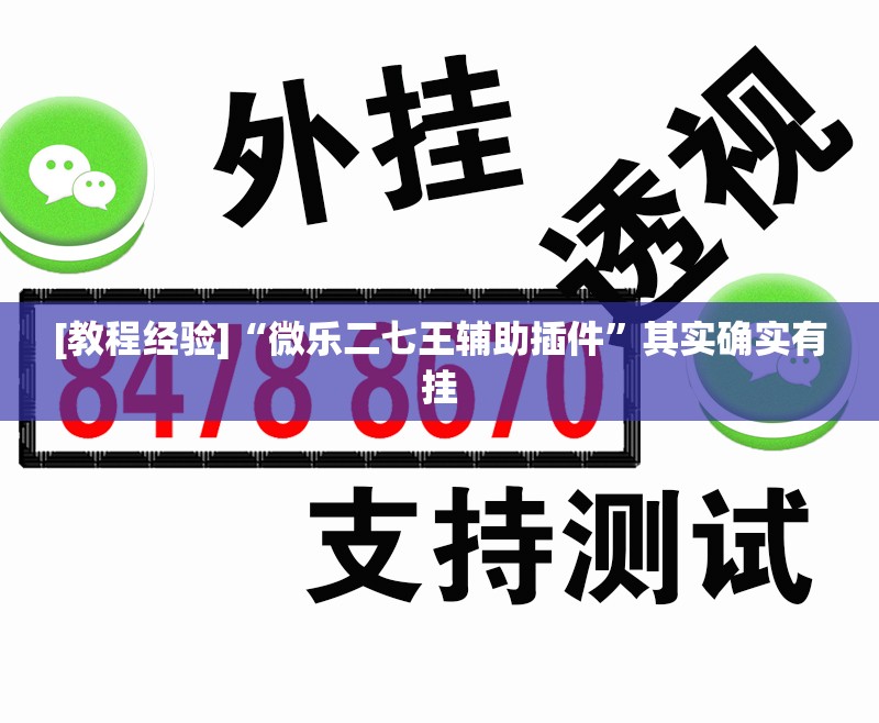 [教程经验]“微乐二七王辅助插件	”其实确实有挂