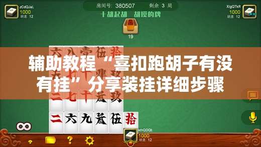 辅助教程“喜扣跑胡子有没有挂”分享装挂详细步骤